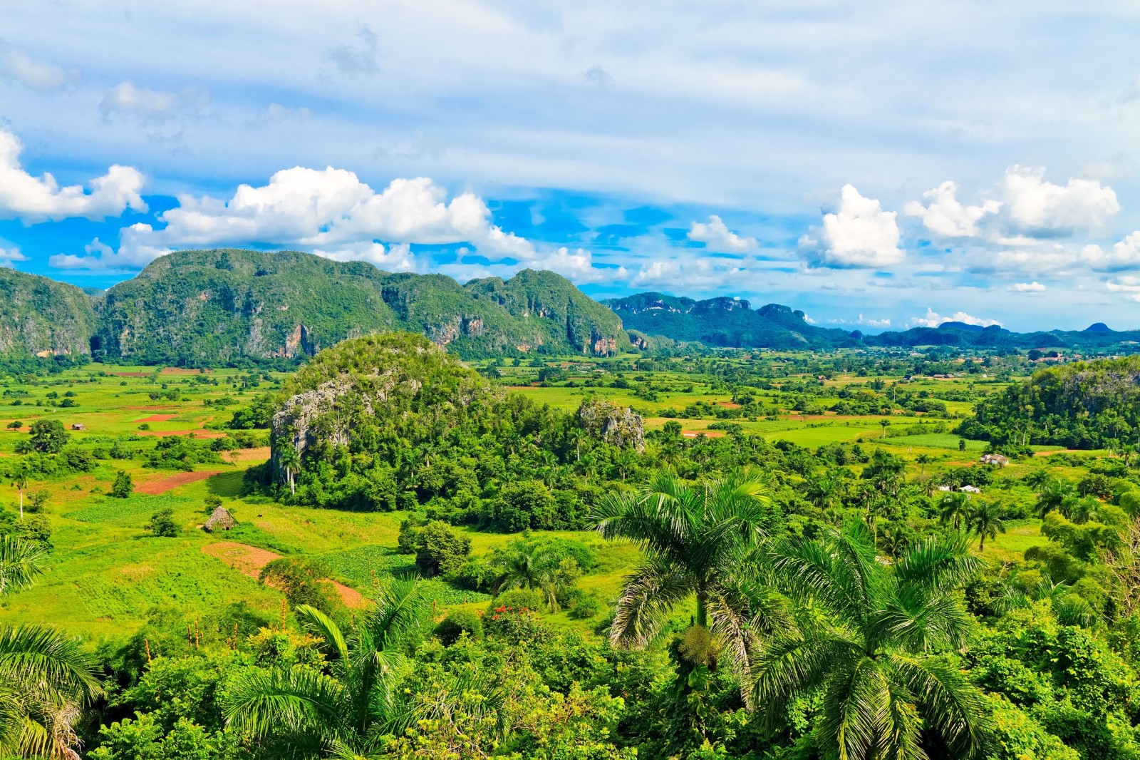 the-vinales-valley-in-cuba-a-famous-tourist-destination-and-a-major-tobacco-growing-area-1600x1066