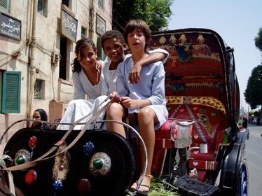 Especial familias. Crucero, Cairo, Sinaí (12 días)
