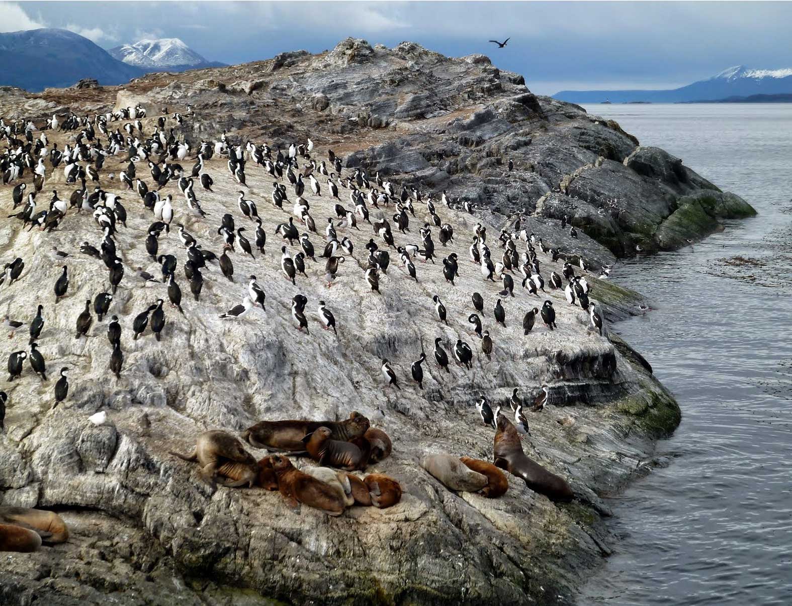PATAGONIA ARGENTINA