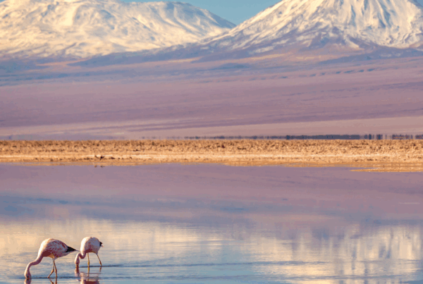 Chile_Atacama