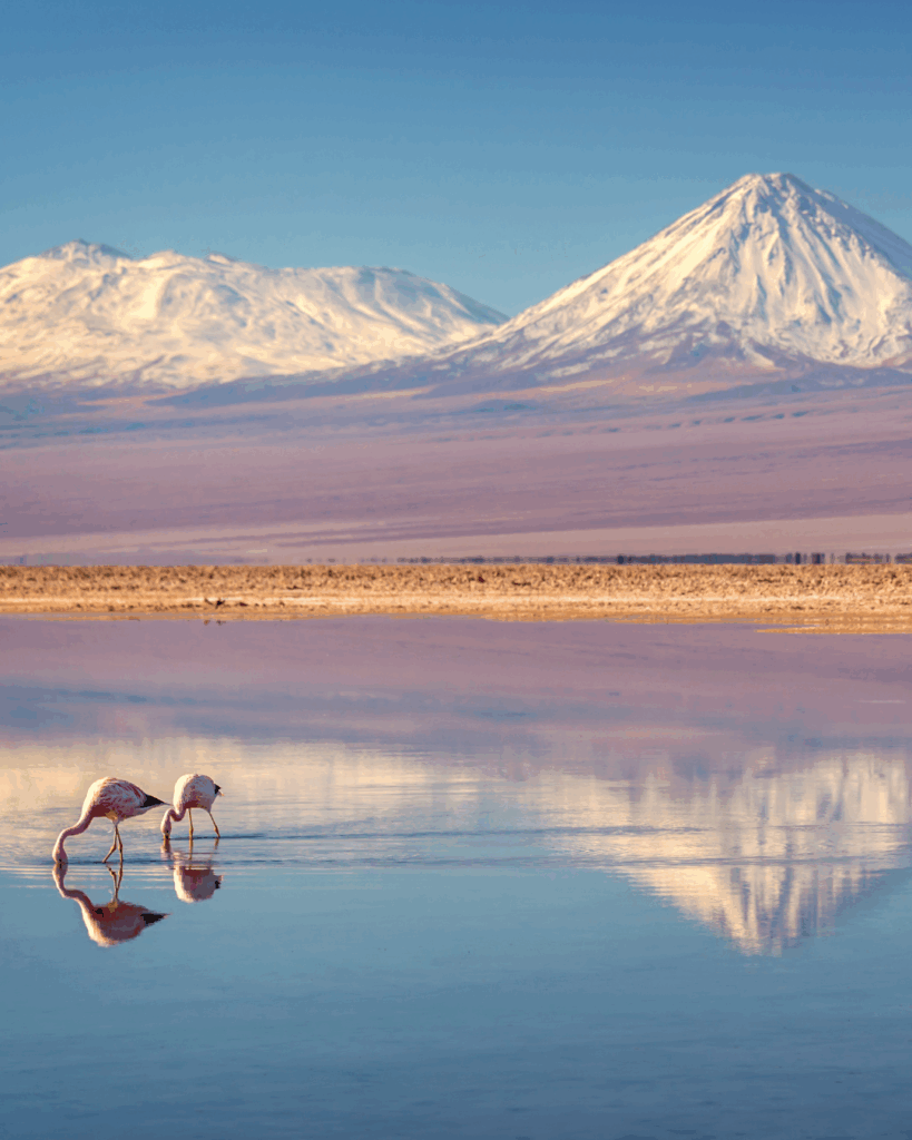Chile_Atacama