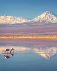 Chile_Atacama
