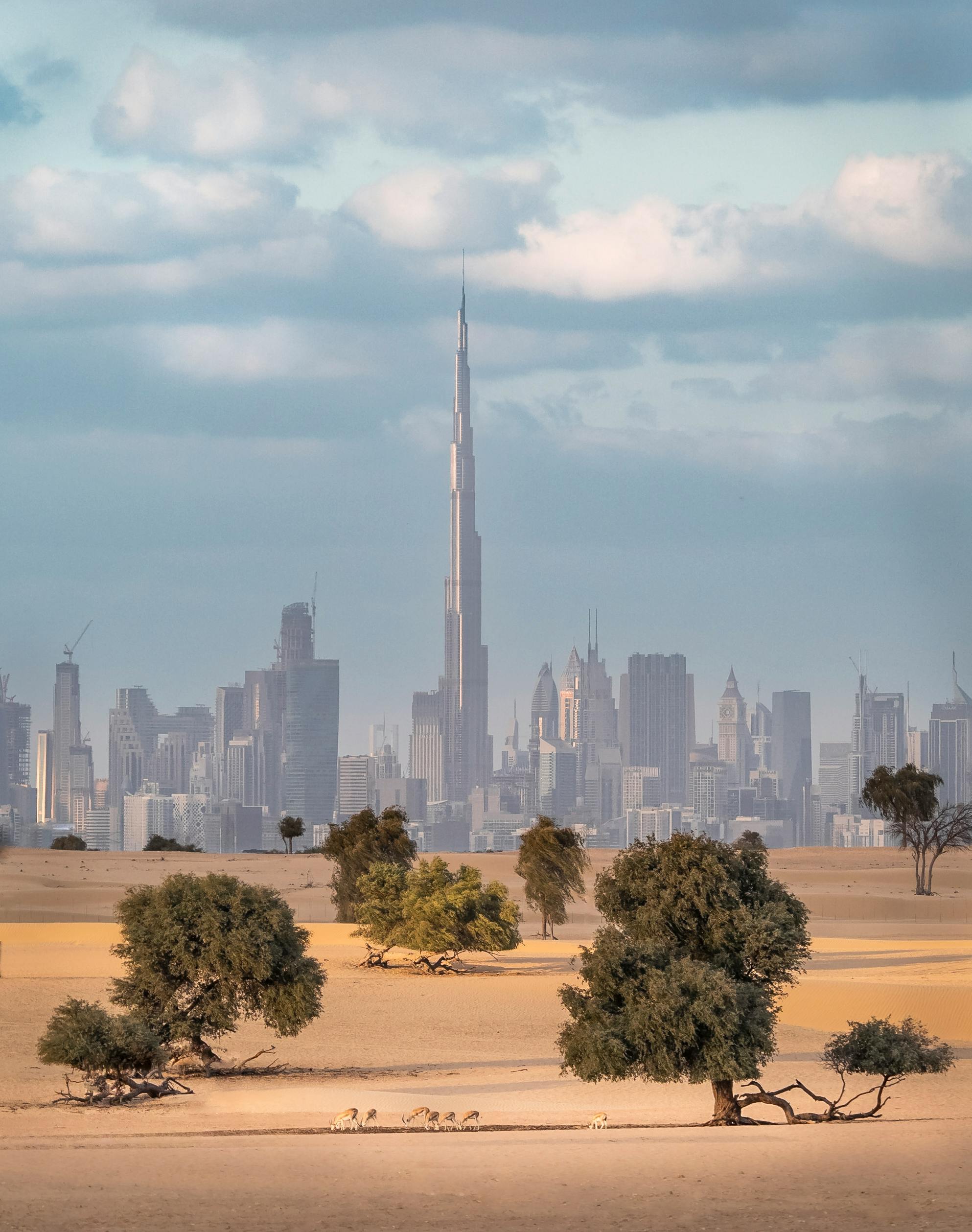 Dubai con extensión Maldivas (6D 5N o 9D 8N)